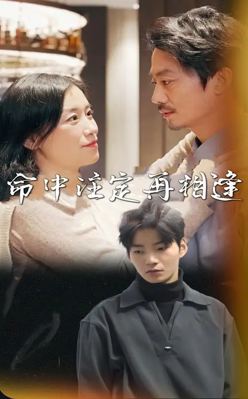 《命中注定再相逢》：缘分天注定，不经意间重逢的火花，那些被时间冲淡又拾起的爱意！